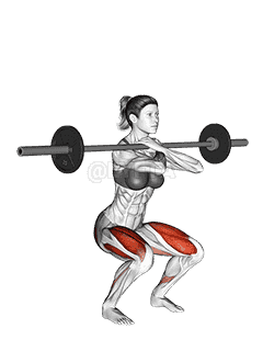 Barbell Front Squat  demonstration