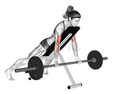 Barbell Prone Incline Curl  demonstration