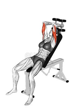 Dumbbell Incline Triceps Extension  demonstration