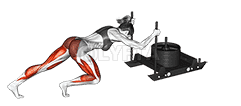 Power Sled Push  demonstration