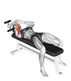 Dumbbell Lying One Arm Supinated Triceps Extension  demonstration