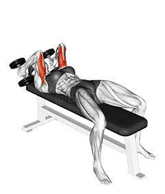 Dumbbell Lying Triceps Extension  demonstration