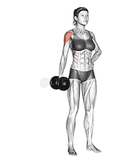 Dumbbell One Arm Lateral Raise  demonstration