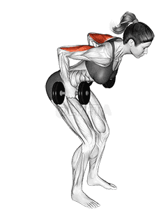 Dumbbell Standing Kickback  demonstration