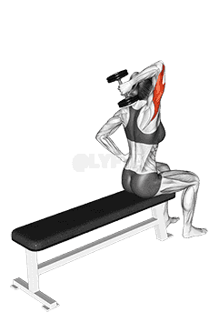 Dumbbell One Arm Triceps Extension  demonstration