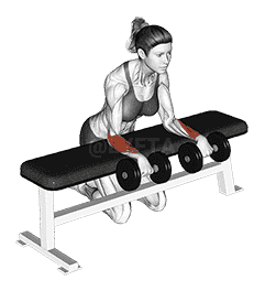 Dumbbell Over Bench Wrist Curl  demonstration