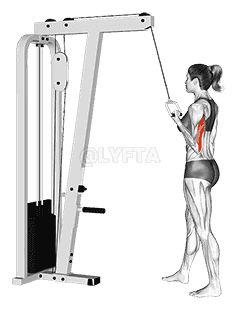 Cable Standing One Arm Triceps Extension  demonstration