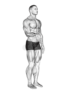 Wrist - Flexion - Articulations demonstration