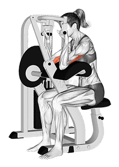 Lever Triceps Extension  demonstration