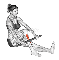 Self Anterior Calf Foam Rolling demonstration