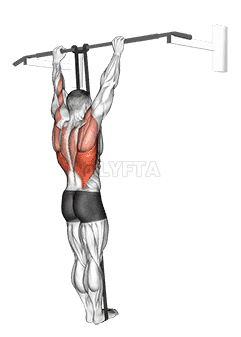 Band Assisted Pull-Up  demonstration