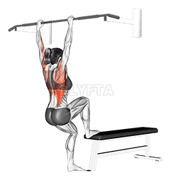 Bench Pull-ups  demonstration