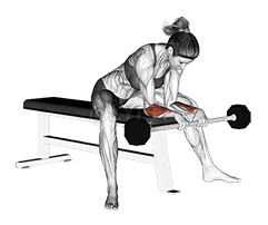 Barbell Reverse Wrist Curl  demonstration