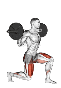 Barbell Split Squat demonstration