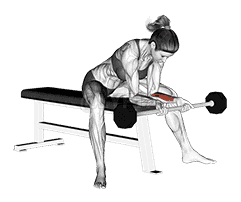 Barbell Wrist Curl  demonstration