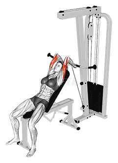 Cable Incline Triceps Extension  demonstration