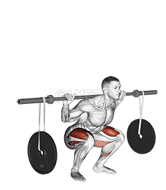 Barbell Squat  demonstration