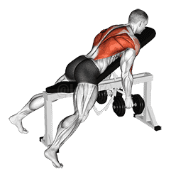 Dumbbell Hammer Grip Incline Bench Two Arm Row demonstration