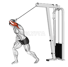 Cable One Arm High Pulley Overhead Tricep Extension demonstration