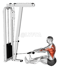 Cable Seated on Floor Row with Rope demonstration