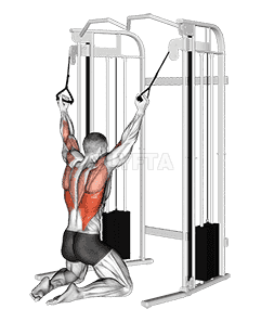 Cable Parallel Grip Lat Pulldown on Floor demonstration