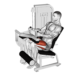 Lever Seated Leg Extension  demonstration