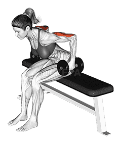Dumbbell Seated Kickback  demonstration