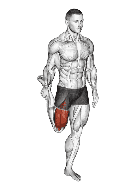 Standing Balance Quadriceps Stretch demonstration