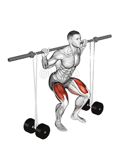 Barbell Banded Squat demonstration