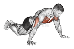 Kneeling Wide Hand Push-Up demonstration