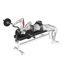 EZ-Barbell Lying Triceps Extension  demonstration