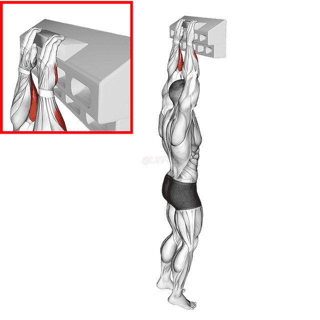 Handboard Open Hand Grip demonstration
