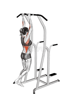 Hammer Grip Pull-up on Dip Cage  demonstration