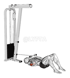 Cable Triceps Pushdown on Floor demonstration