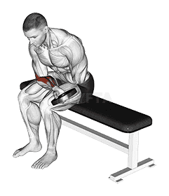 Weighted Seated One Arm Wrist Curl demonstration