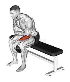 Weighted Seated One Arm Reverse Wrist Curl demonstration