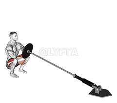 Landmine Front Squat demonstration