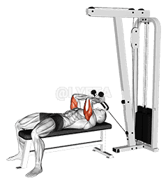 Cable Lying Triceps Extension  demonstration