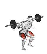 Barbell Squat 2 sec Hold demonstration