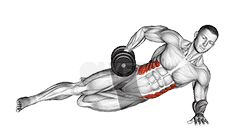 Dumbbell Side Bridge with Bent Leg  demonstration