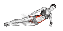 Side Bridge with Straight Legs  demonstration
