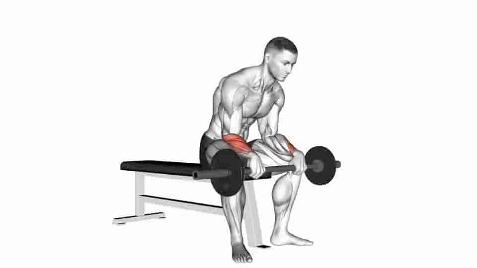 Thumbnail for the video of exercise: Barbell Revers Wrist Curl 
