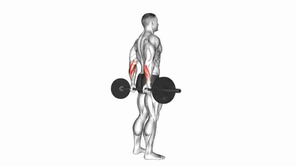 Thumbnail for the video of exercise: Barbell Standing Back Wrist Curl