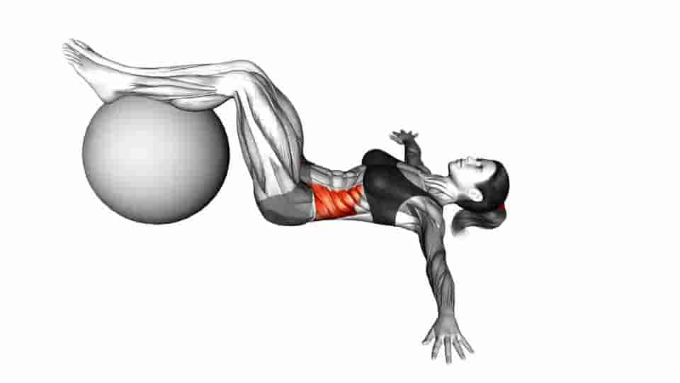 Thumbnail for the video of exercise: Bent-knee Lying Twist 