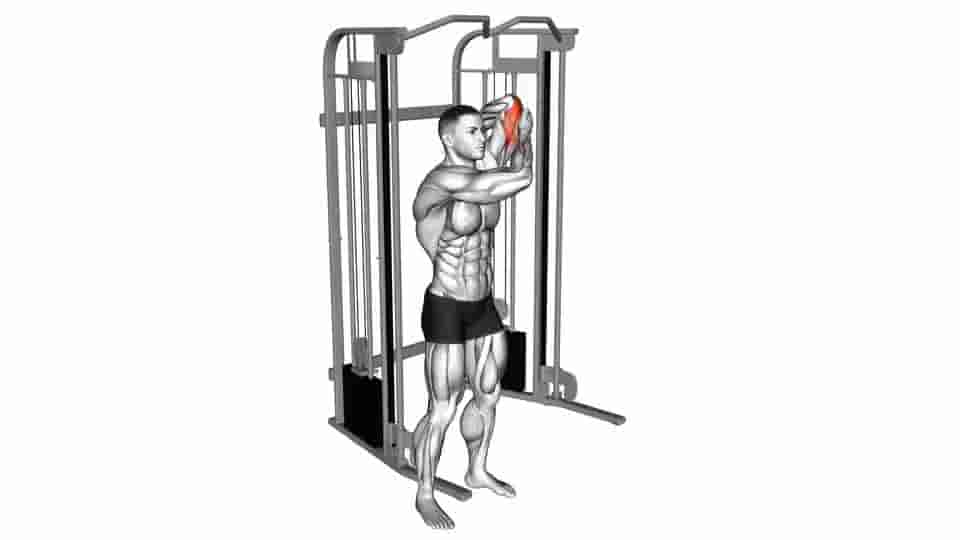 Thumbnail for the video of exercise: Cable Alternate Triceps Extension