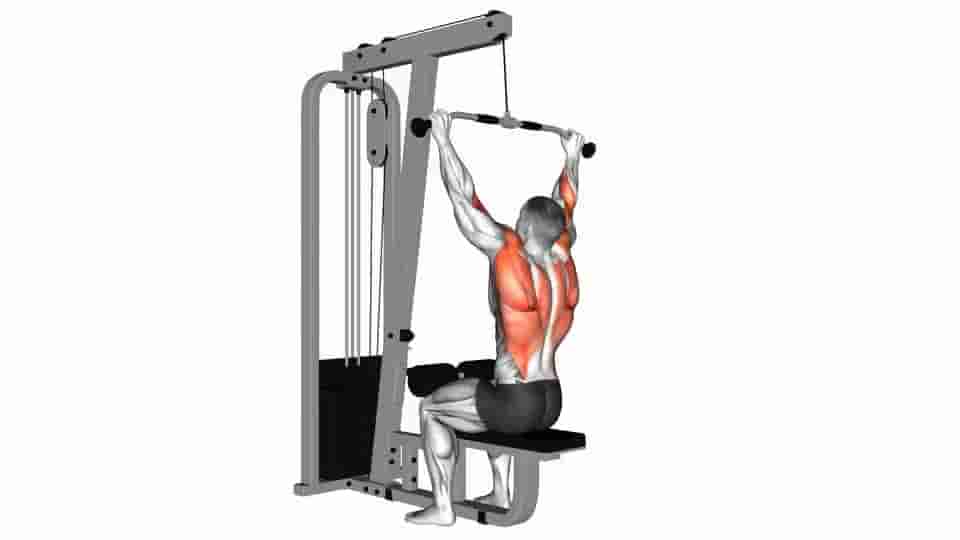 Thumbnail for the video of exercise: Bar Lateral Pulldown