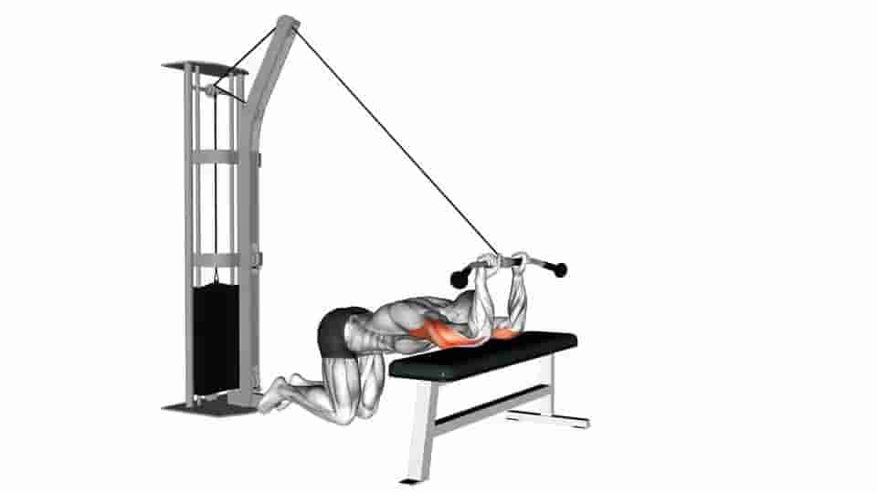 Thumbnail for the video of exercise: Kneeling Triceps Extension