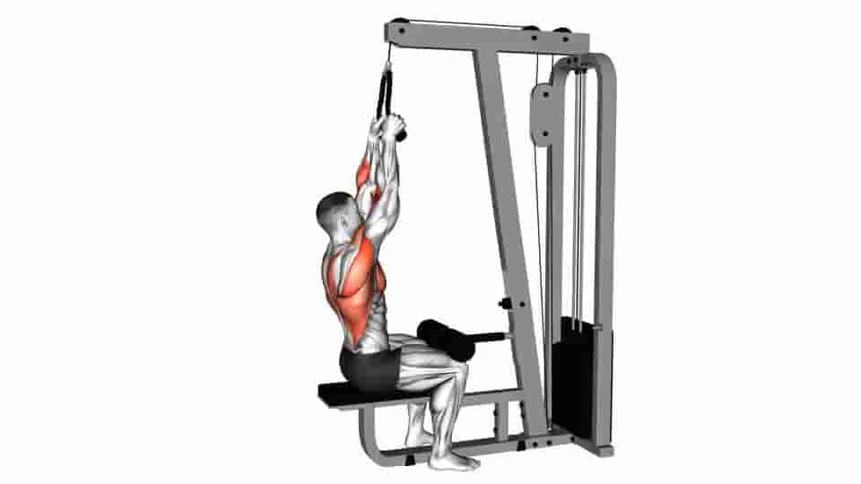 Thumbnail for the video of exercise: Cable Lateral Pulldown 