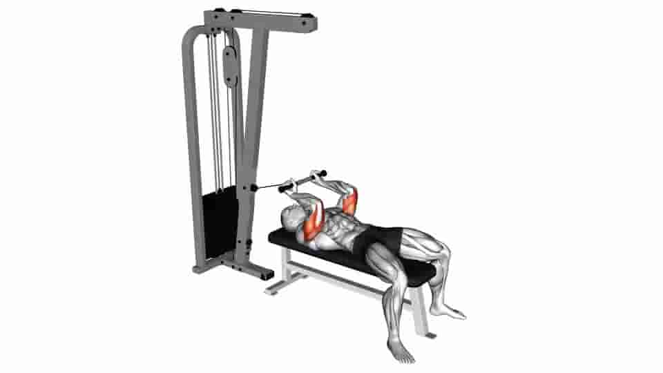 Thumbnail for the video of exercise: Lying Triceps Extension