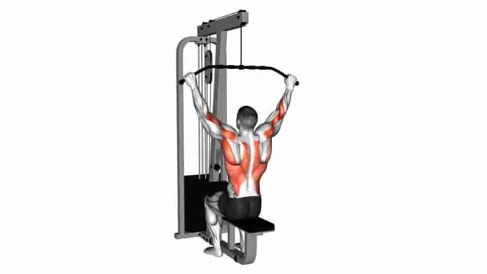 Thumbnail for the video of exercise: Cable Pulldown 